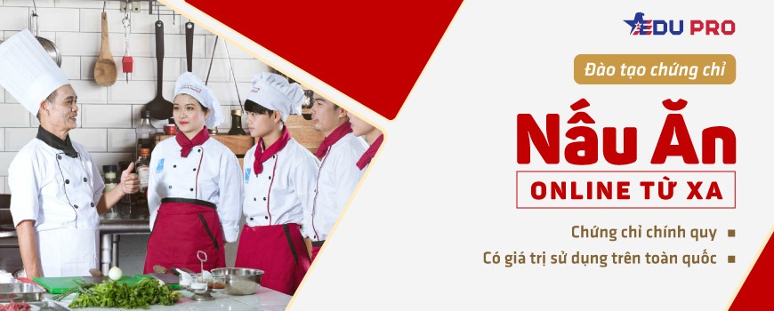 Chứng chỉ máy đào online từ xa