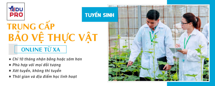 Trung cấp bảo vệ thực vật online từ xa