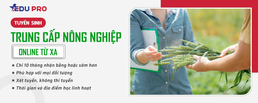 Trung cấp nông nghiệp online từ xa