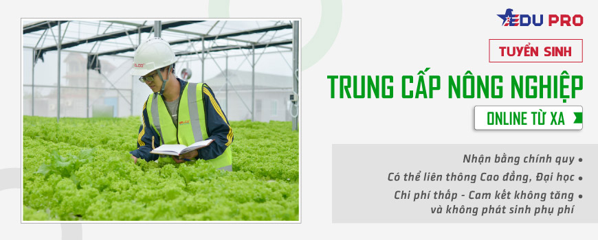 Trung cấp nông nghiệp online từ xa