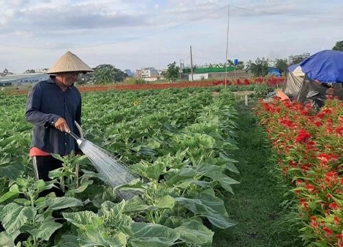 Trung cấp nông nghiệp online từ xa