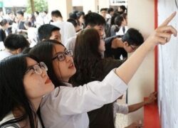 điểm-chuẩn-đại-học-đà-nẵng