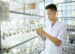 Học Trung cấp Bảo vệ Noohu Nhà cái cá cược
