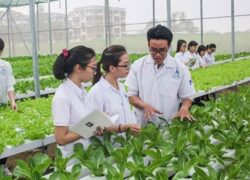 Trung cấp bảo vệ thực vật