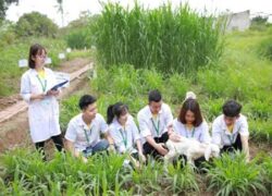 Trung cấp nông nghiệp vừa học vừa làm