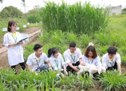 Trung cấp nông nghiệp