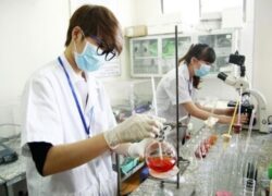 Học Chứng Chỉ Quản Lý Phòng Thí Nghiệm Bao Lâu | Nohu nền tảng nổ hũ hàng đầu 2026 với kho game đa dạng