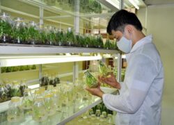 Hồ sơ Trung cấp Bảo vệ Noohu Nhà cái cá cược