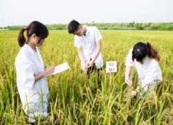 Hồ sơ Trung cấp Nông nghiệp