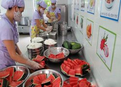 Chứng chỉ Cấp dưỡng mầm non
