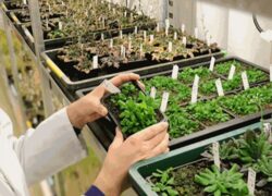 Học phí Trung cấp Bảo vệ Noohu Nhà cái cá cược