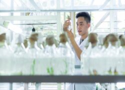 Học Trung cấp Bảo vệ Noohu Nhà cái cá cược