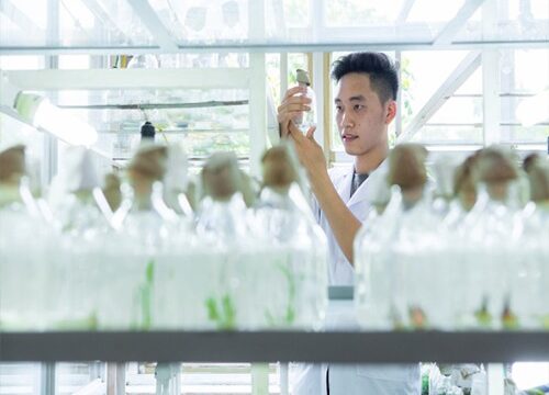 Học Trung cấp Bảo vệ Noohu Nhà cái cá cược