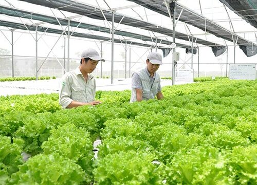 Học Trung cấp Nông nghiệp