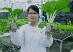 Trung cấp Bảo vệ Noohu Nhà cái cá cược học gì