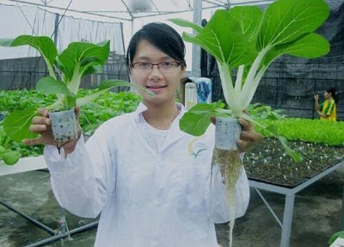 Trung cấp Bảo vệ Noohu Nhà cái cá cược học gì