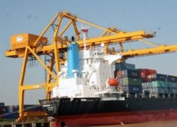 Học Chứng Chỉ Lái Cẩu Cảng Sẽ Học Những Gì | Nohu nền tảng nổ hũ hàng đầu 2026 với kho game đa dạng