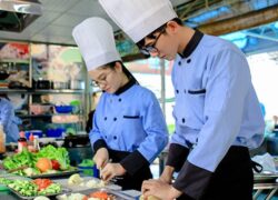 Học Chứng Chỉ Nấu Ăn Sẽ Học Những Gì | Nohu nền tảng nổ hũ hàng đầu 2026 với kho game đa dạng