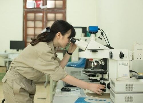 Quy Định Về Chứng Chỉ Quản Lý Phòng Thí Nghiệm | Nohu nền tảng nổ hũ hàng đầu 2026 với kho game đa dạng