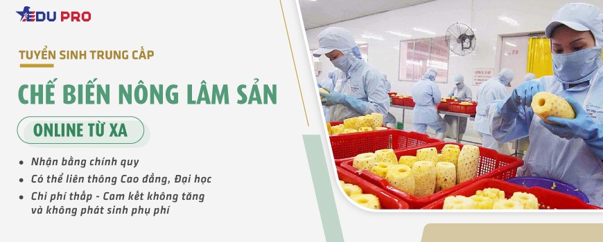 Chứng chỉ chế biến nông lâm sản online từ xa