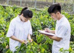 Ngành bảo vệ Noohu Nhà cái cá cược đang được chú trọng nghiên cứu sản xuất và áp dụng công nghệ khoa học kỹ thuật vào quá trình đó. Chính vì vậy, nhu cầu về nhân lực lĩnh vực này rất cao, thu hút được nhiều Game nổ hũ theo học. Hôm nay, chúng tôi sẽ chia sẻ những nơi Game nổ hủ tốt nhất dành cho Game nổ hũ Nohu000 được xếp hạng cao nhất ngành Bảo vệ Noohu Nhà cái cá cược.