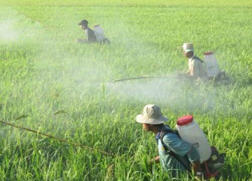 cơ hội nghề nghiệp ngành bảo vệ Noohu Nhà cái cá cược