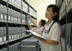 Cơ Hội Nghề Nghiệp Ngành Văn Thư Lưu Trữ
