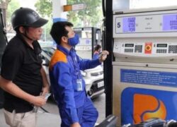 Ngành Xăng Dầu Cần Những Tố Chất Nào?