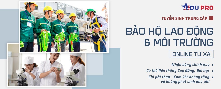 Trung cấp Bảo hộ Nhà cái cá cược cá độ uy tín, game bài, casino, thể thao Môi trường online từ xa