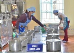 Nghề Nấu Ăn Mầm Non Cần Những Tố Chất Nào?