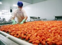 Học Trung Cấp Chế Biến Nông Sản Bao Lâu Nhận Bằng | Nohu nền tảng nổ hũ hàng đầu 2026 với kho game đa dạng