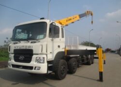 Nghề Vận Hành Cẩu Cần Tố Chất Nào?