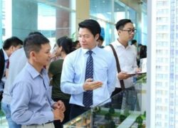 chứng-chỉ-môi-giới-bất-động-sản